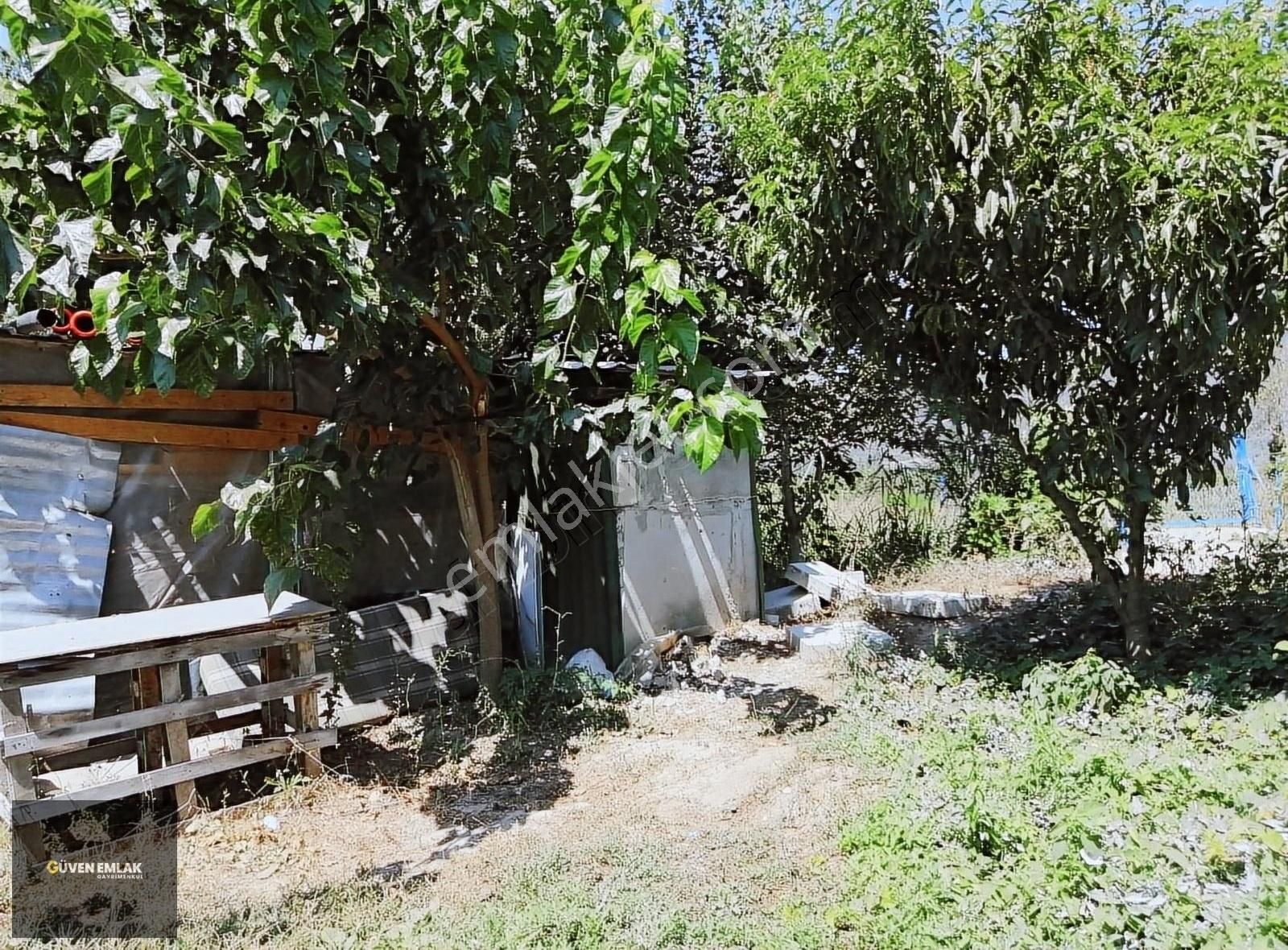 İznik Güven Emlaktan Satılık Erik Bahçesi. - Görsel 22