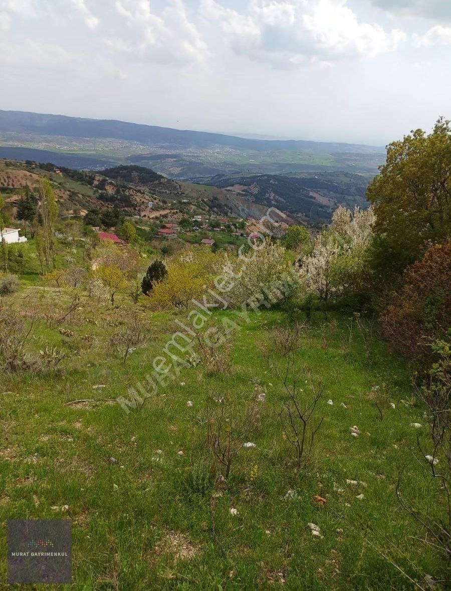 Dulkadiroğlu Kozludere Satılık Bağ & Bahçe Murat Gayrimenkulde Kozludere Köyün De 3006m2 Yol Kenarı