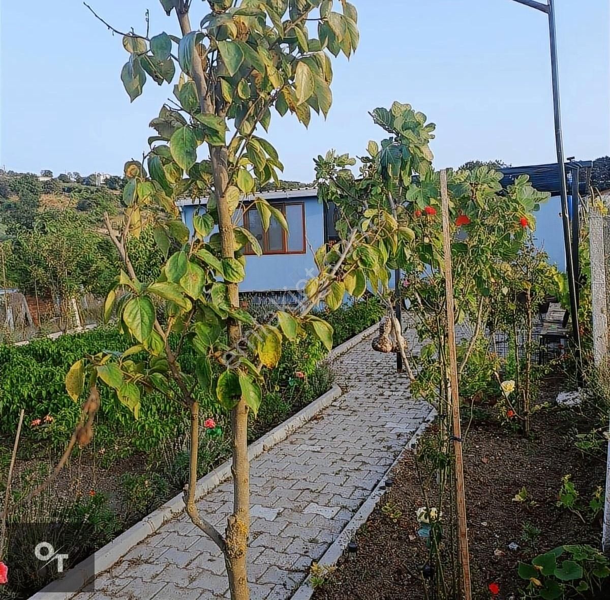 Çatalca Dağyenice Satılık Özel Kullanım HAZIR KURULU HOBİ BAHÇESİ