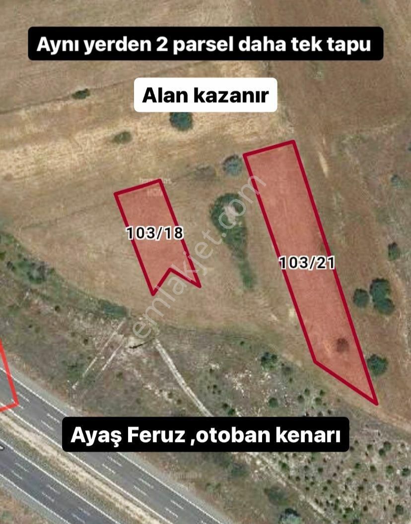 Ayaş Feruz Satılık Tarla ankara ayas FERUZDA otoban kenarı  bulunmaz fırsat yatırımlık  2 arada küçük 350 bin tl 