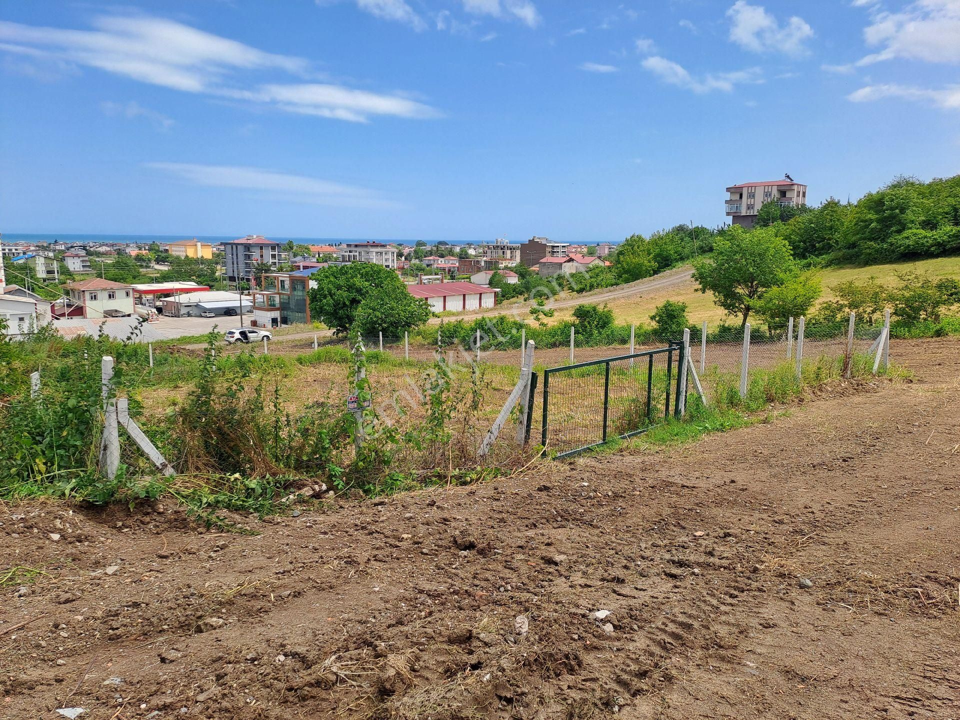 Atakum Taflan Merkez Satılık Konut İmarlı Anayolun Dibinde Köşe Parsel