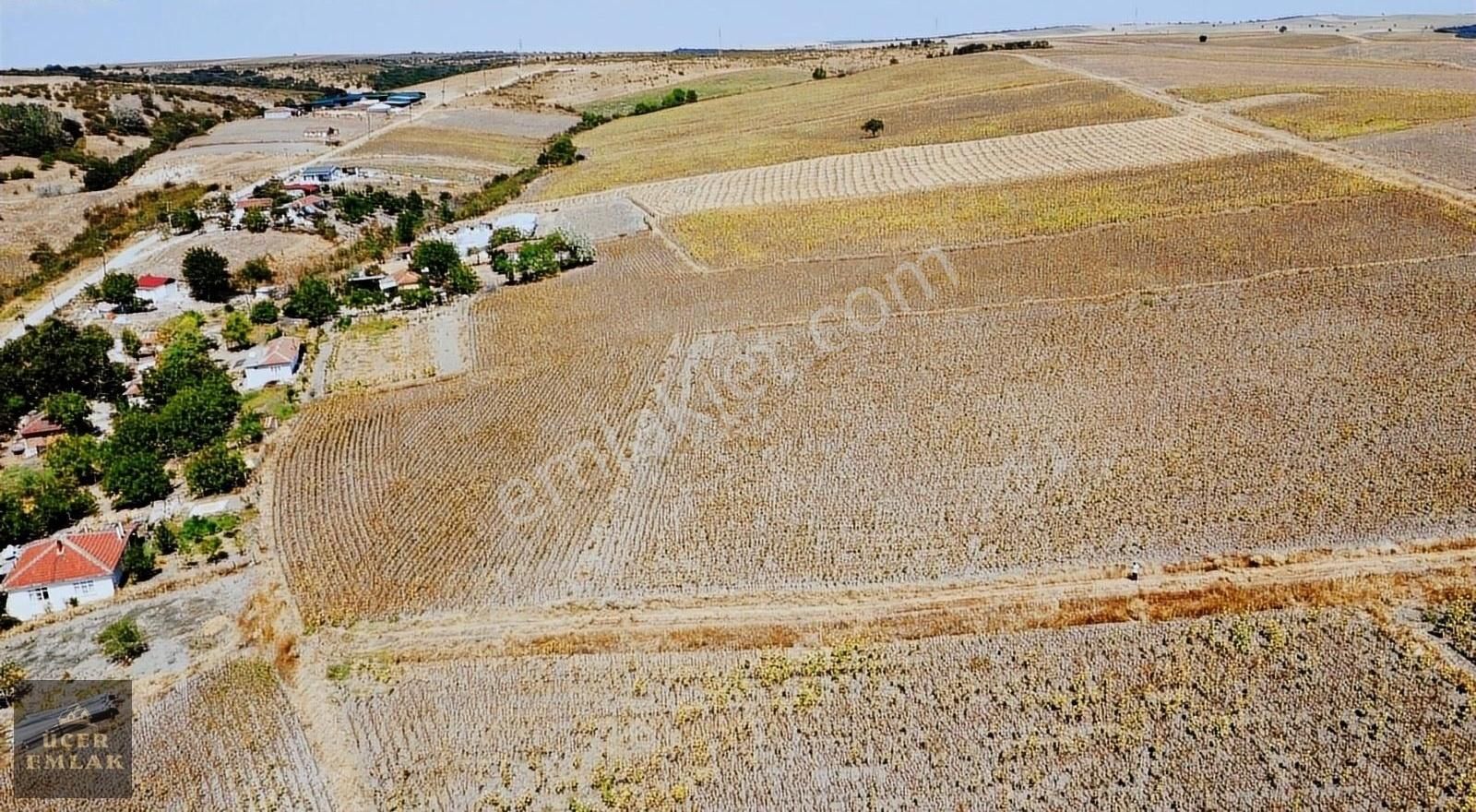 Meriç Yakupbey Köyü Satılık Tarla EDİRNE MERİÇ YAKUPBEY KÖYÜNDE SATILIK İMARLI İFRAZLI 2532M2 ARSA