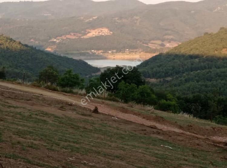 Kestel Nüzhetiye Satılık Tarla Roma' Dan Nüzhetiye Köyün' De Satılık Kooperatif Hisseli Tarla