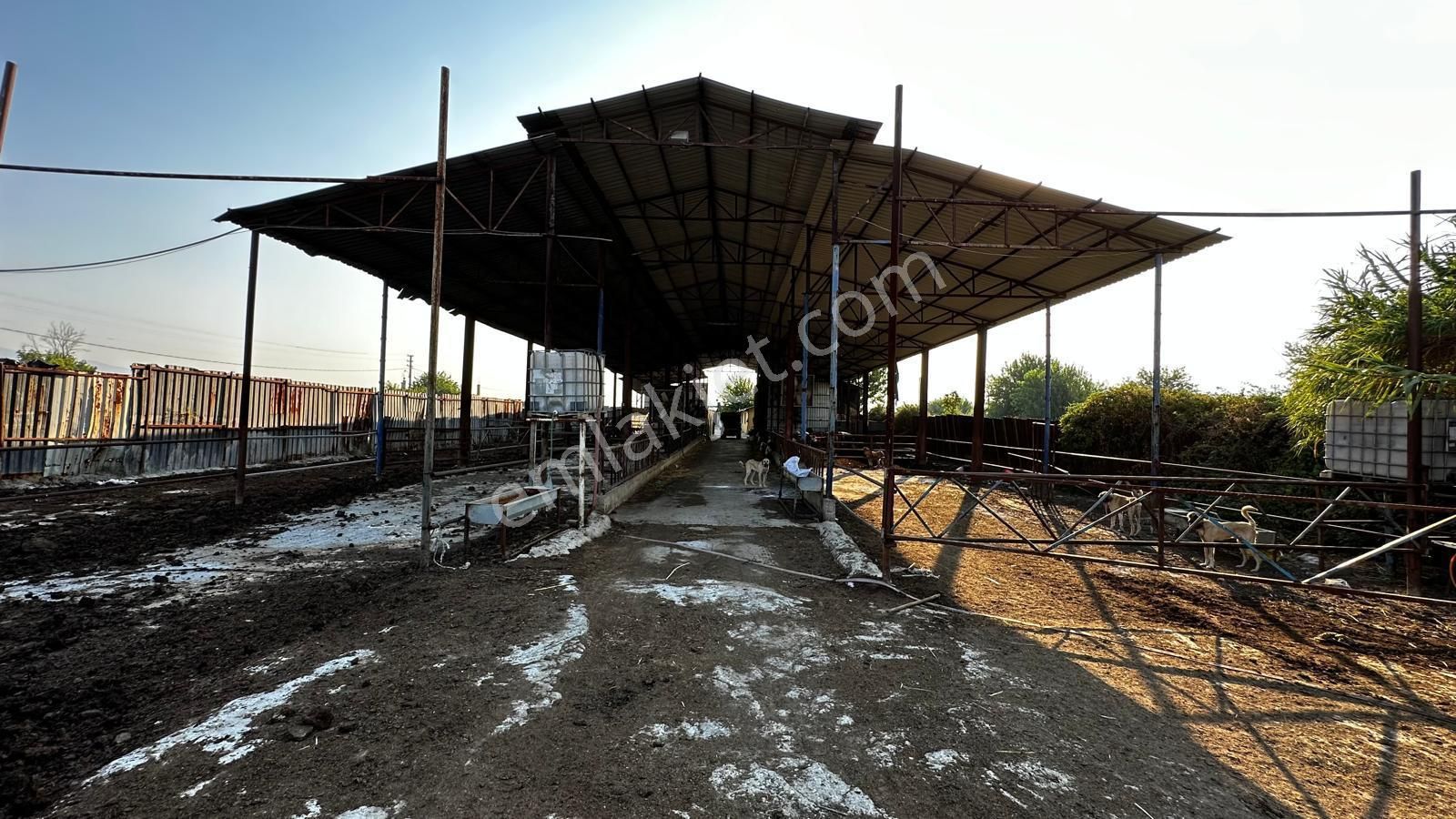 Gözdeden Nazilli Organize Sanayi Yakını Satılık Tarla... - Görsel 35