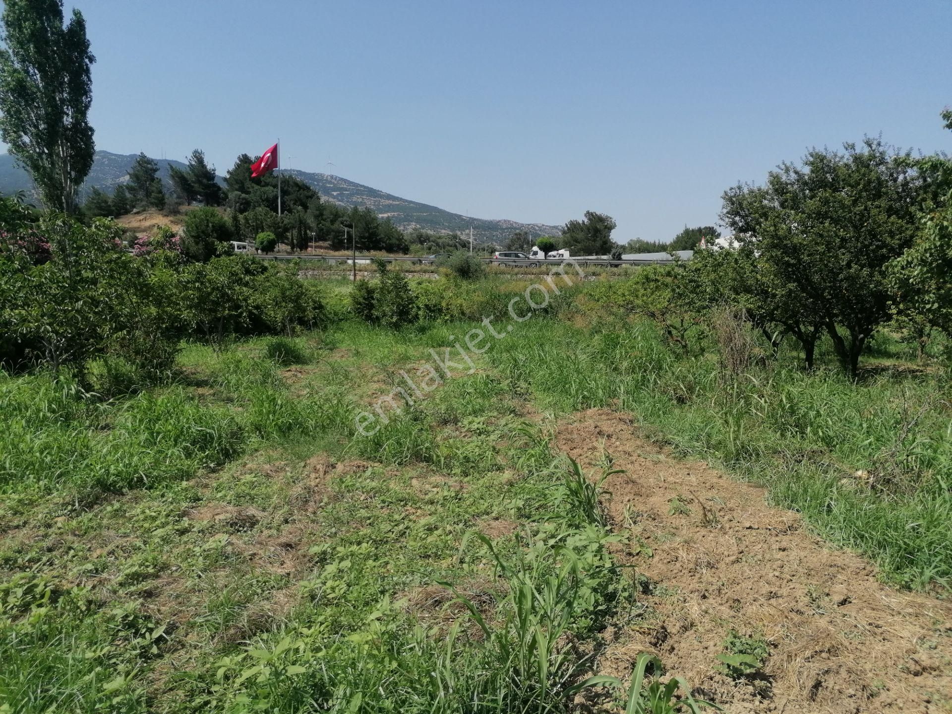 Kemalpaşa Çambel Satılık Bağ & Bahçe Kaya Emlak'tan Satılık Bahçe Tek Tapu 542m2 Ankara Yoluna 1 Parsel Yakın