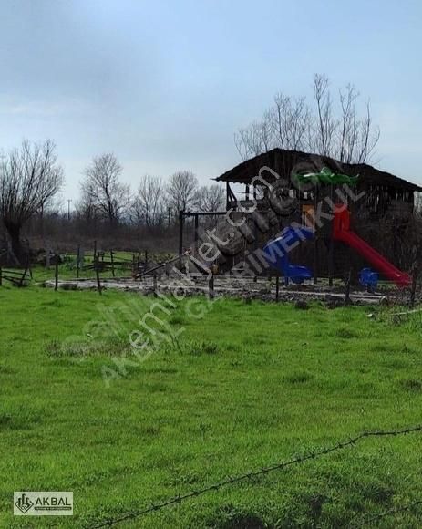 Çilimli Alacamescit Köyü (Orman) Satılık Konut İmarlı AKBAL'dan Alacamescit Köyünde Satılık Arsa