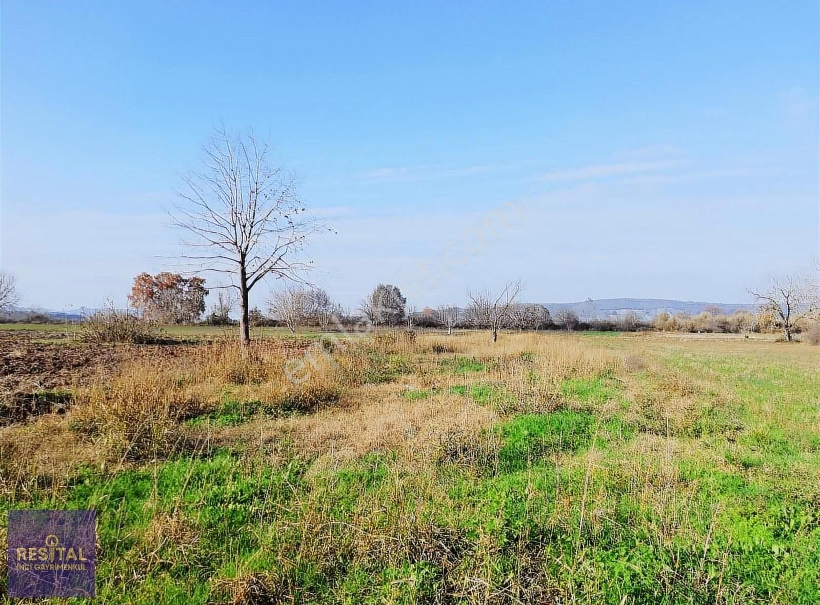 Mustafakemalpaşa Melik Satılık Tarla MUSTAFAKEMALPAŞA MELİK MAHALLESİNDE 2100 m² TARLA