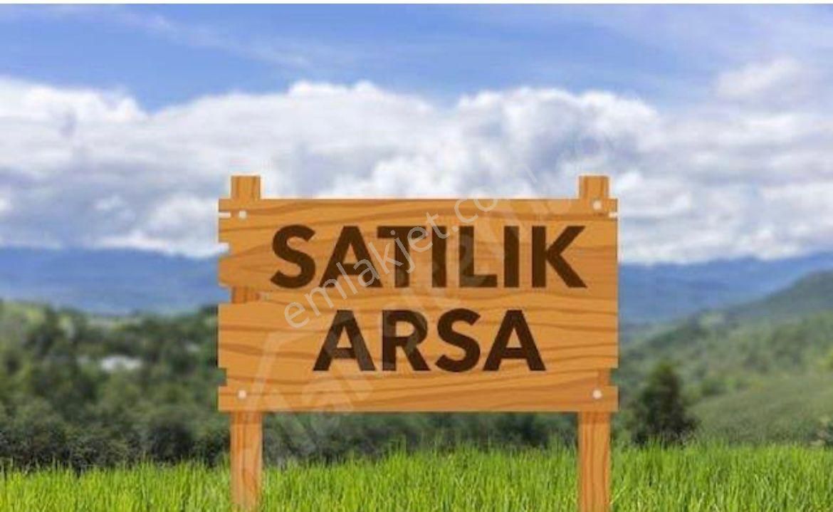 Reyhanlı Bayır Satılık Tarla  HATAY REYHANLI DA SATILIK ARSA