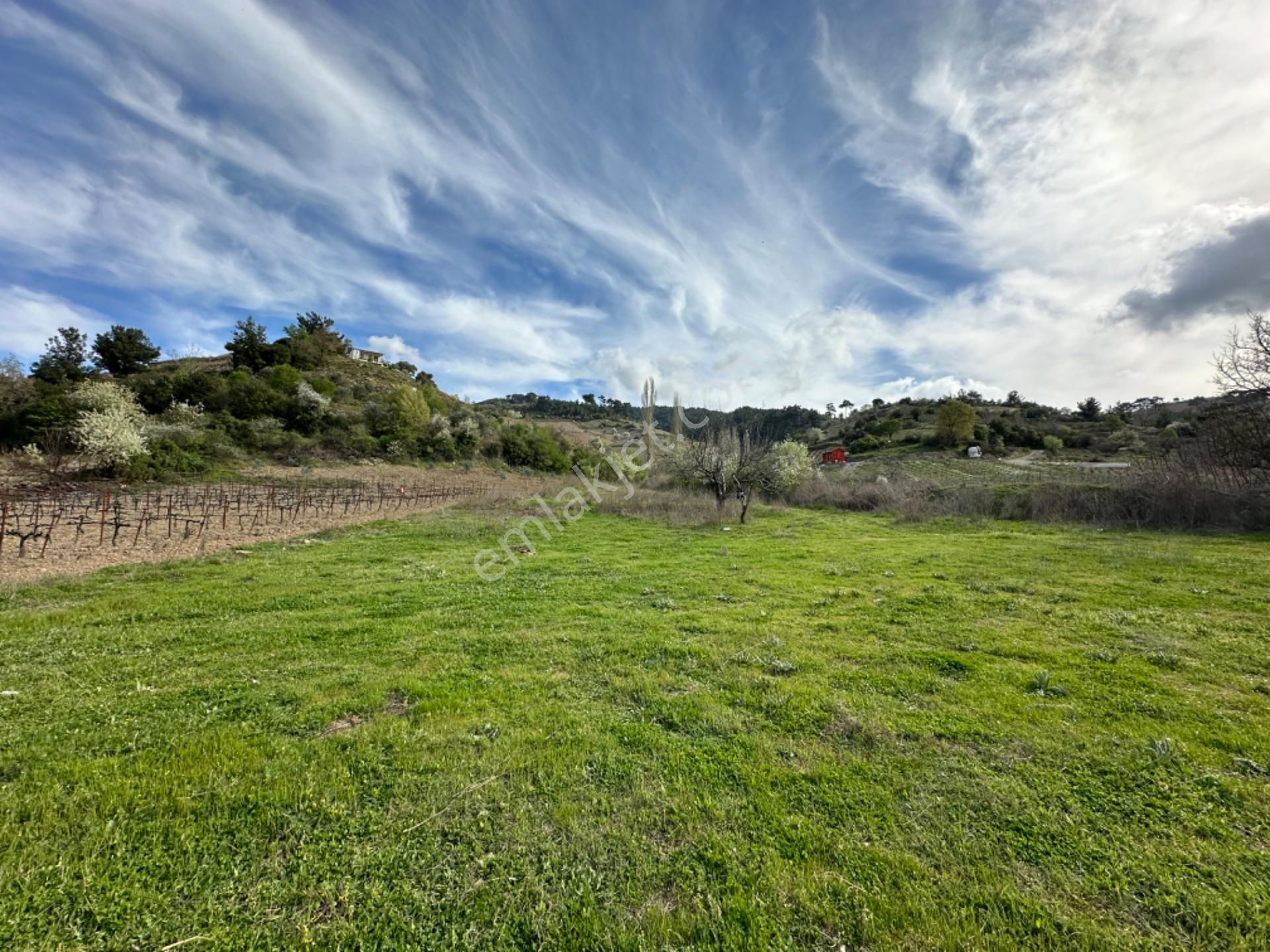 Efemçukuru'nda Ana Yola 40 M, Eğimsiz, Su Ve Kadastral Yol Var! - Görsel 17