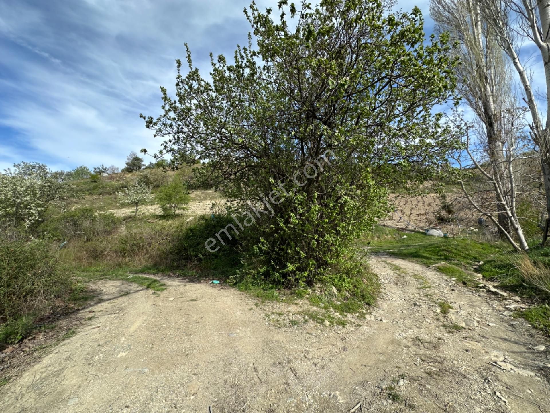 Efemçukuru'nda Ana Yola 40 M, Eğimsiz, Su Ve Kadastral Yol Var! - Görsel 6