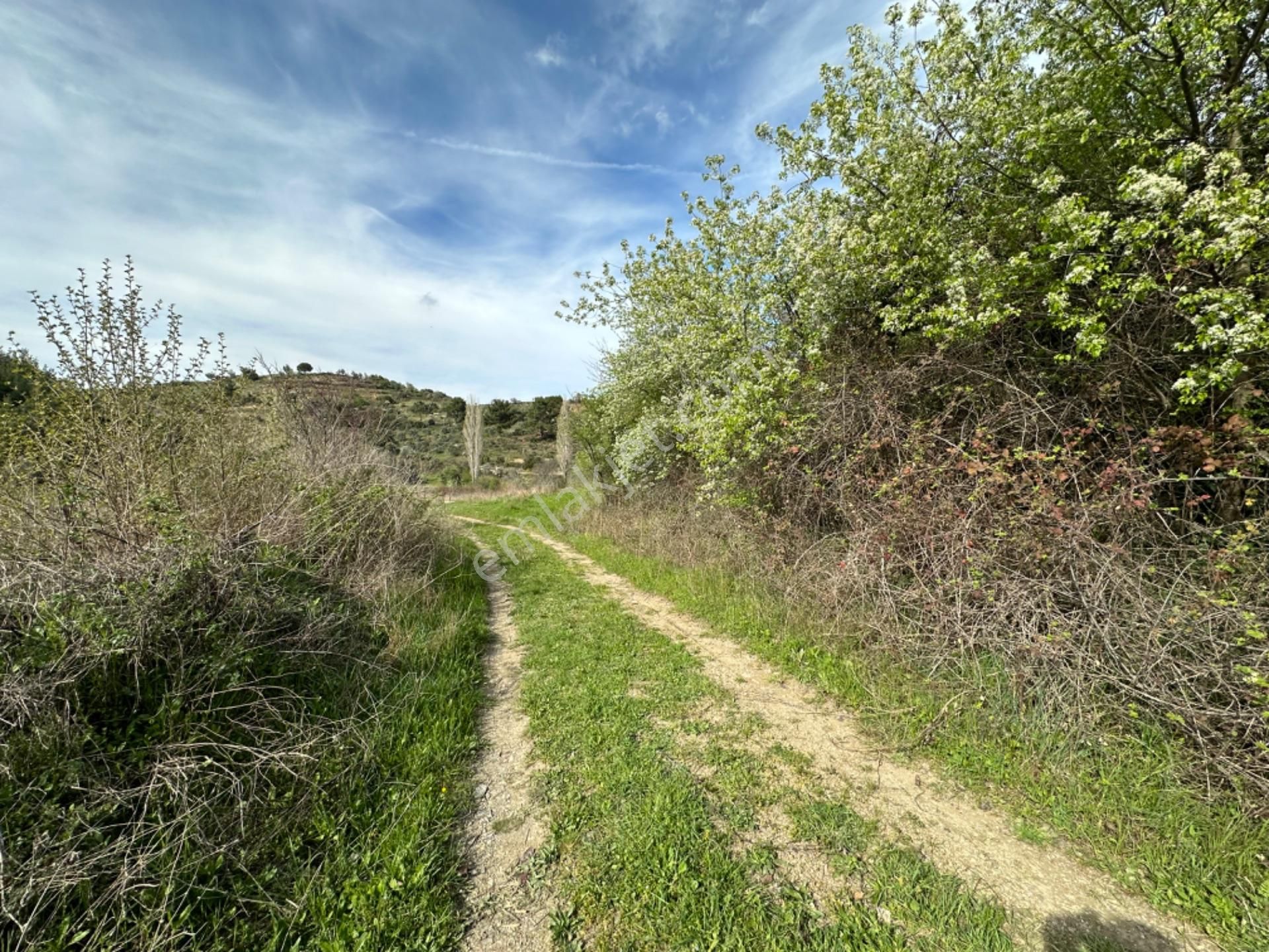 Efemçukuru'nda Ana Yola 40 M, Eğimsiz, Su Ve Kadastral Yol Var! - Görsel 9