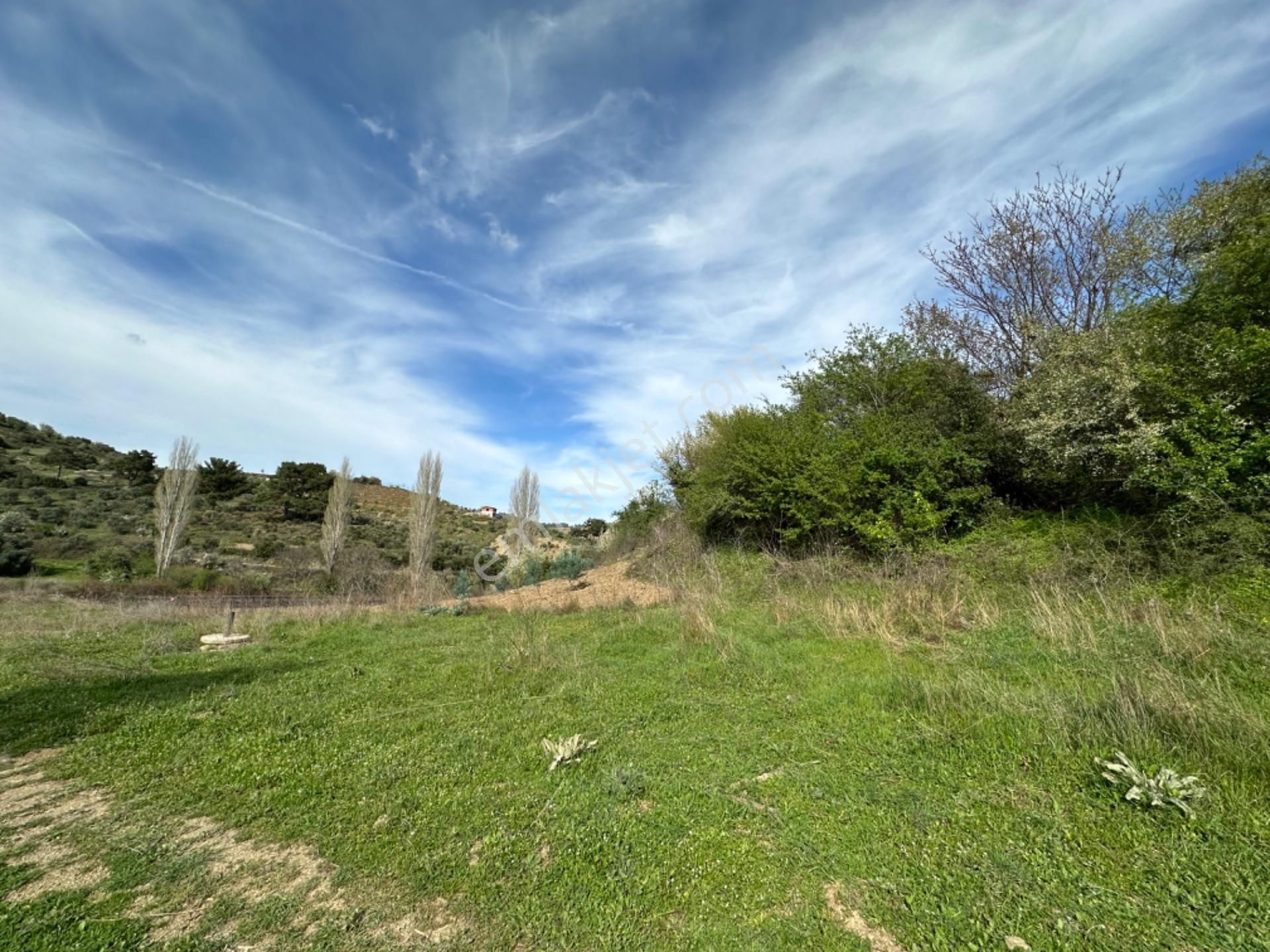 Efemçukuru'nda Ana Yola 40 M, Eğimsiz, Su Ve Kadastral Yol Var! - Görsel 10