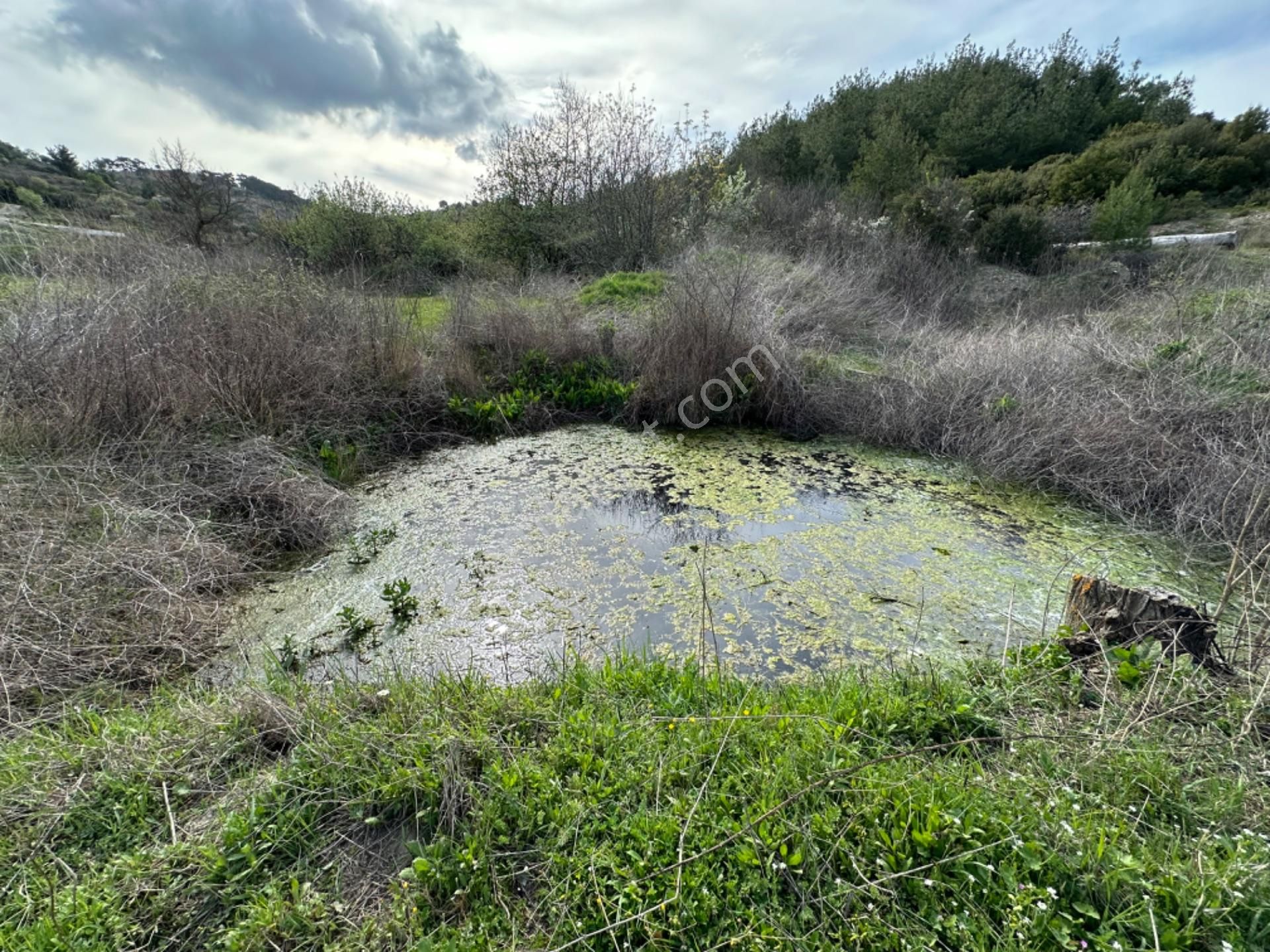 Efemçukuru'nda Ana Yola 40 M, Eğimsiz, Su Ve Kadastral Yol Var! - Görsel 20