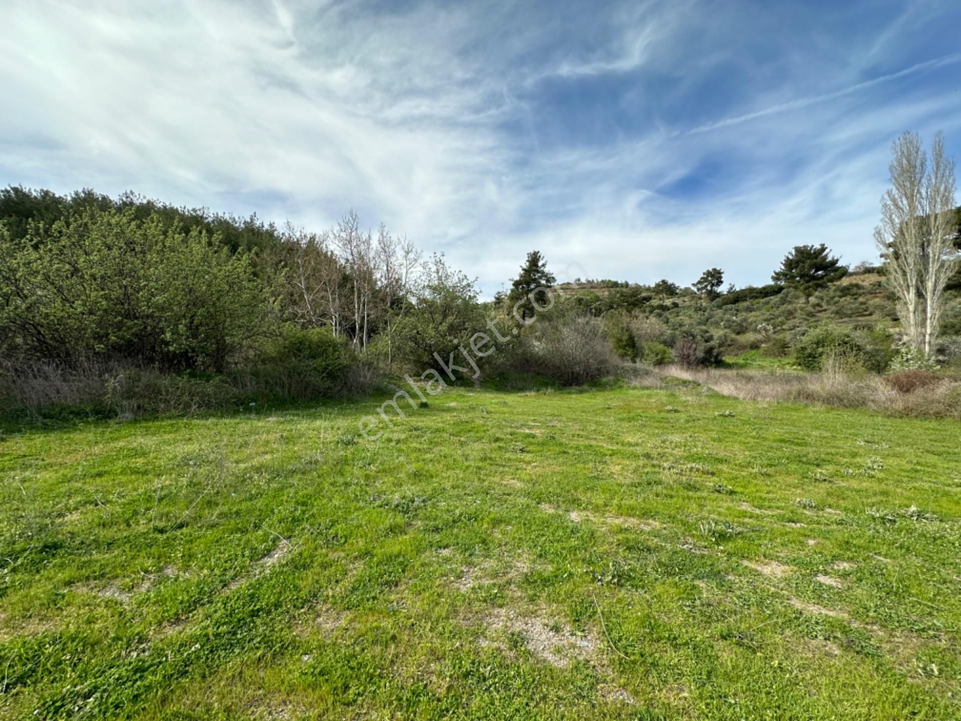 Efemçukuru'nda Ana Yola 40 M, Eğimsiz, Su Ve Kadastral Yol Var! - Görsel 16