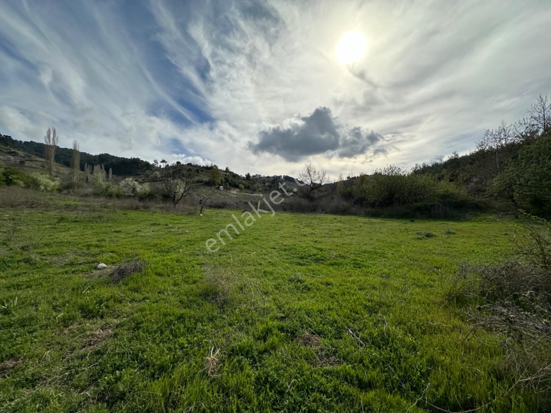 Efemçukuru'nda Ana Yola 40 M, Eğimsiz, Su Ve Kadastral Yol Var! - Görsel 18