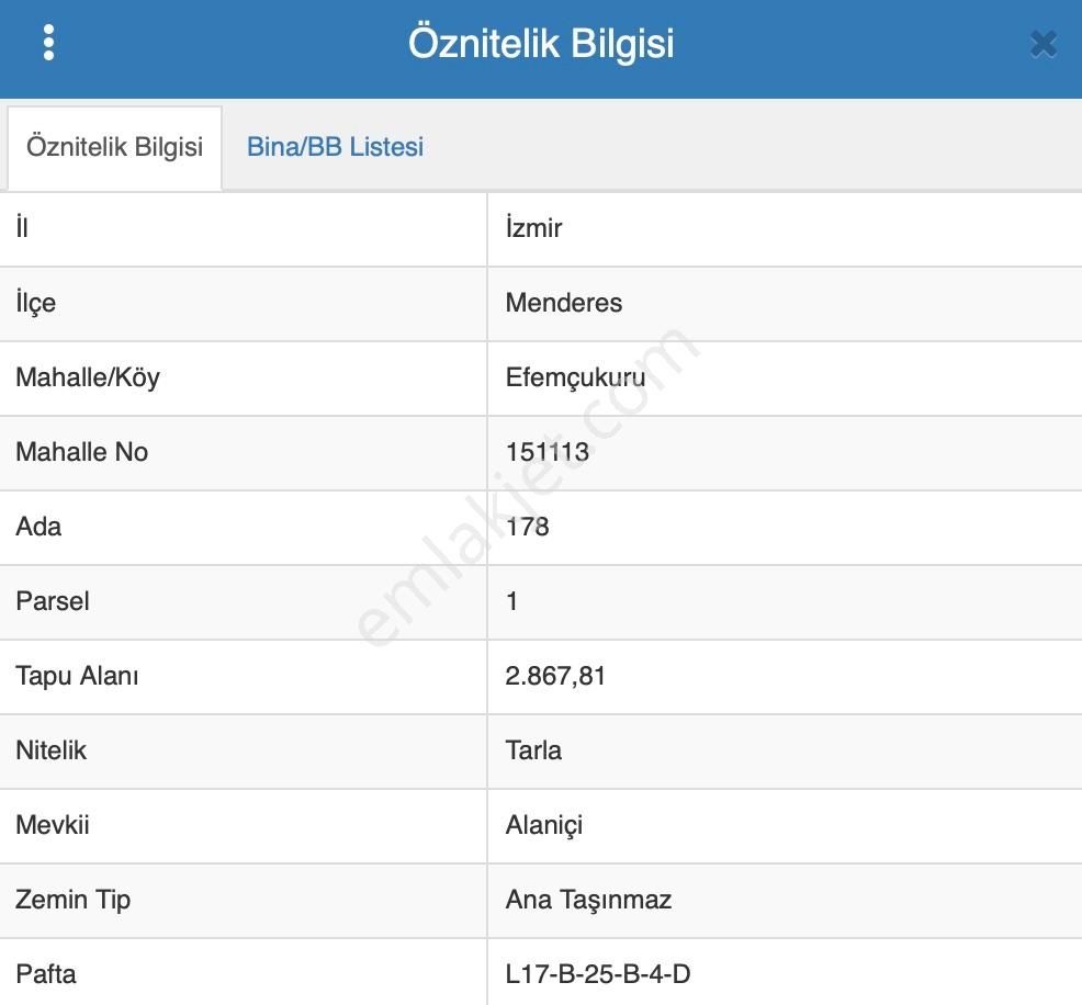 Efemçukuru'nda Ana Yola 40 M, Eğimsiz, Su Ve Kadastral Yol Var! - Görsel 3