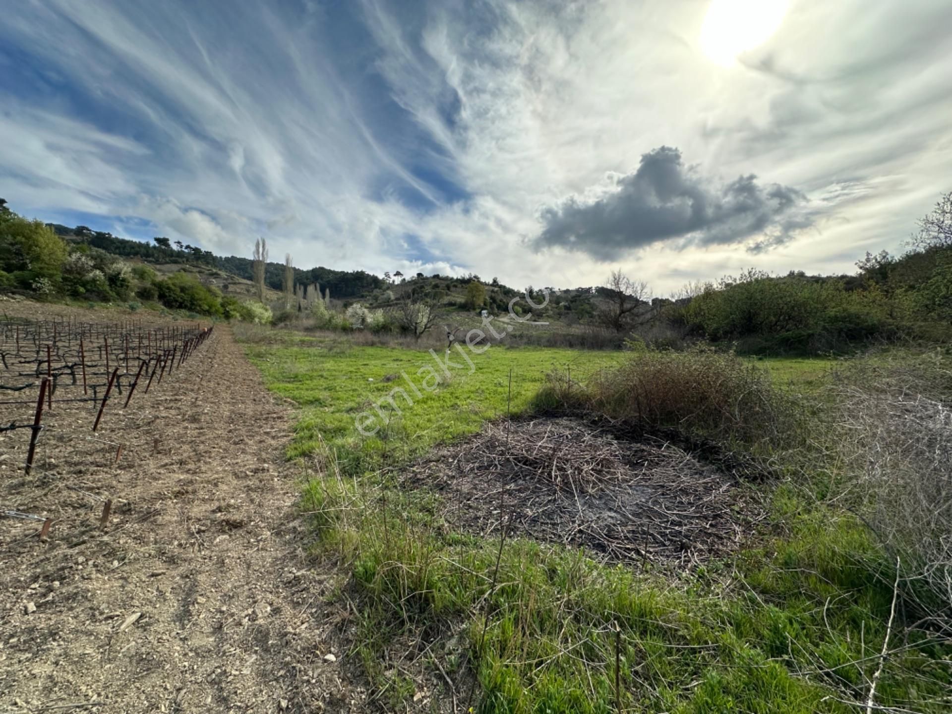 Efemçukuru'nda Ana Yola 40 M, Eğimsiz, Su Ve Kadastral Yol Var! - Görsel 19