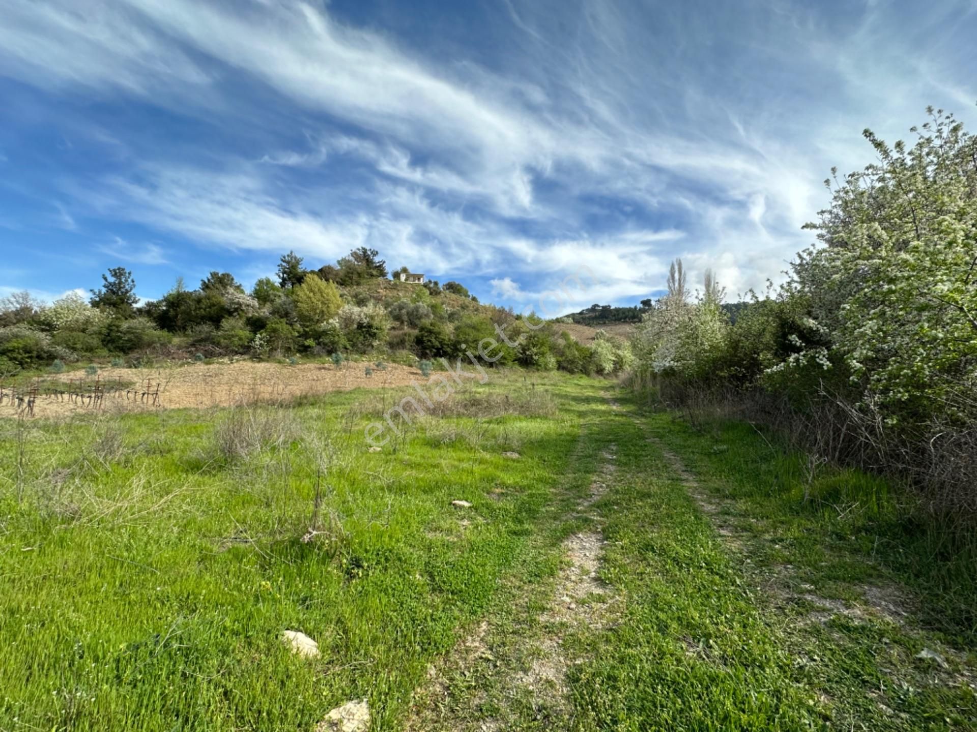 Efemçukuru'nda Ana Yola 40 M, Eğimsiz, Su Ve Kadastral Yol Var! - Görsel 15