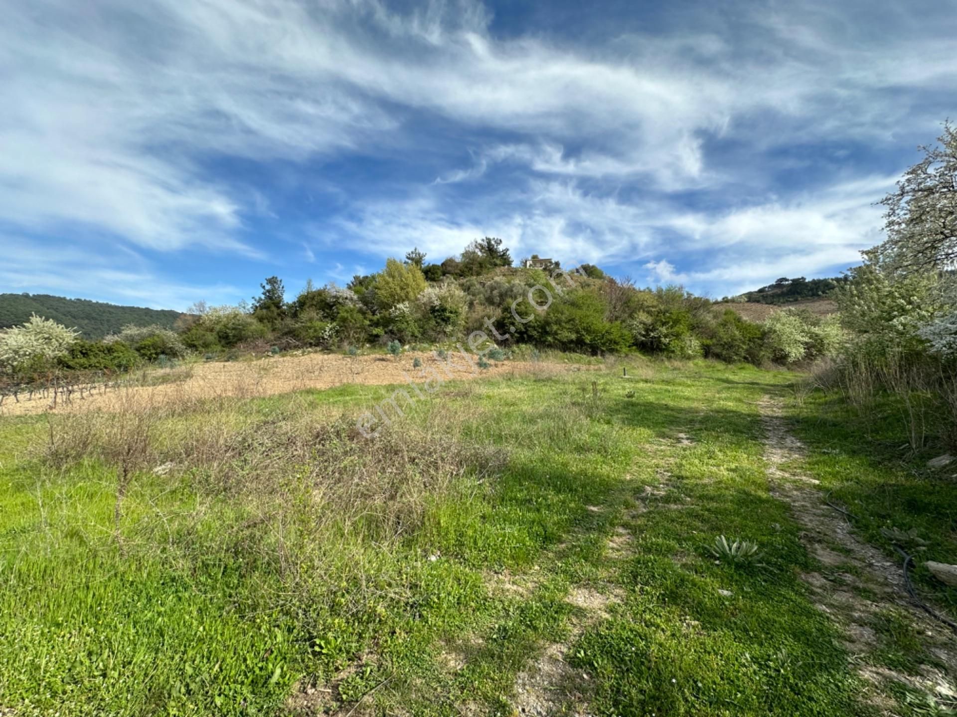 Efemçukuru'nda Ana Yola 40 M, Eğimsiz, Su Ve Kadastral Yol Var! - Görsel 14