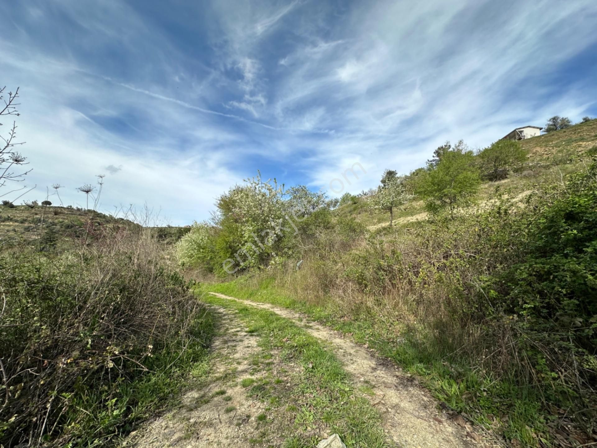 Efemçukuru'nda Ana Yola 40 M, Eğimsiz, Su Ve Kadastral Yol Var! - Görsel 7