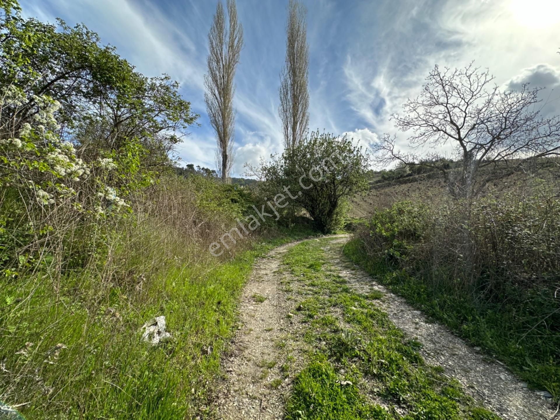 Efemçukuru'nda Ana Yola 40 M, Eğimsiz, Su Ve Kadastral Yol Var! - Görsel 8