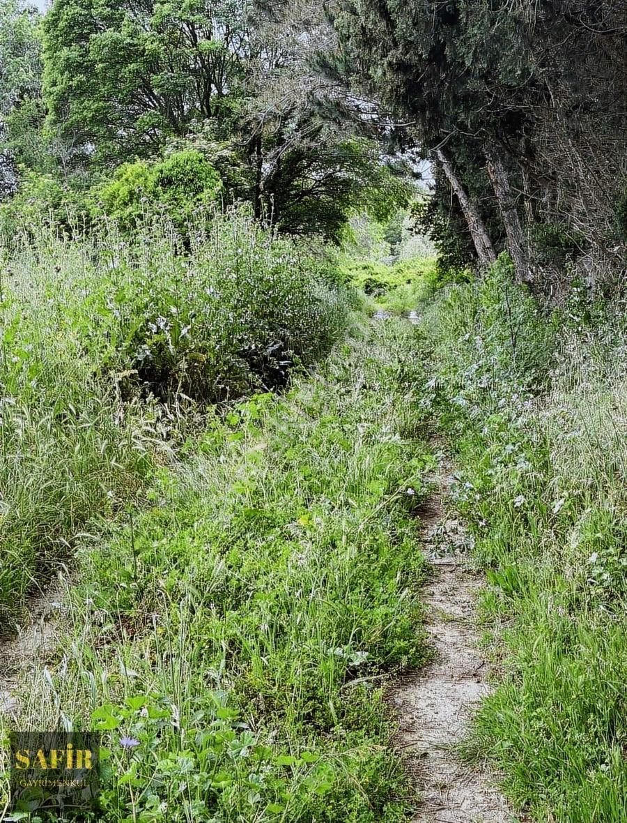 Çatalca Karacaköy'de İçinde Konteyner Olan 350m2 Tarla - Görsel 12