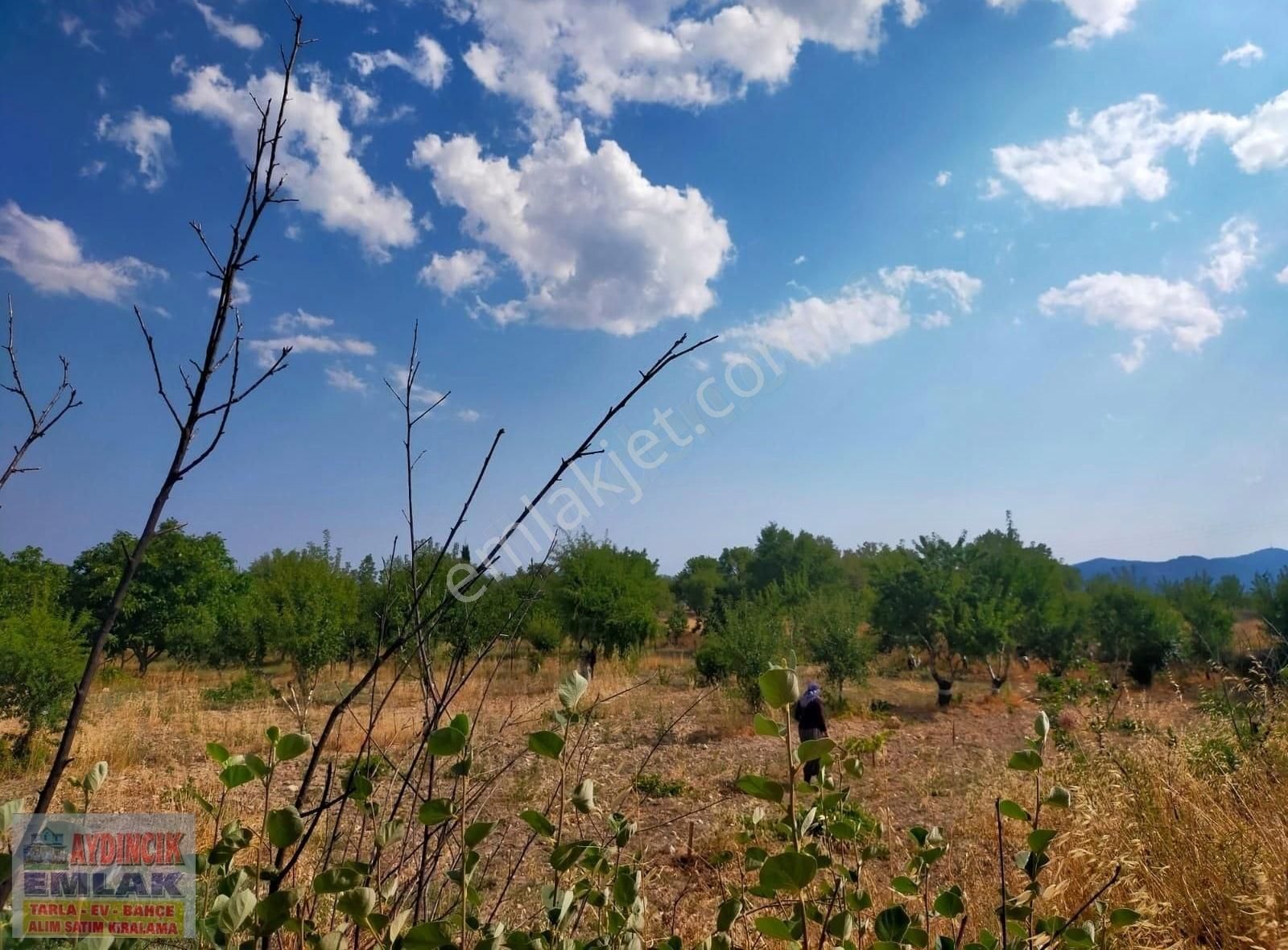 Aydıncık Emlaktan Satılık Tarla 1974m2 - Görsel 12