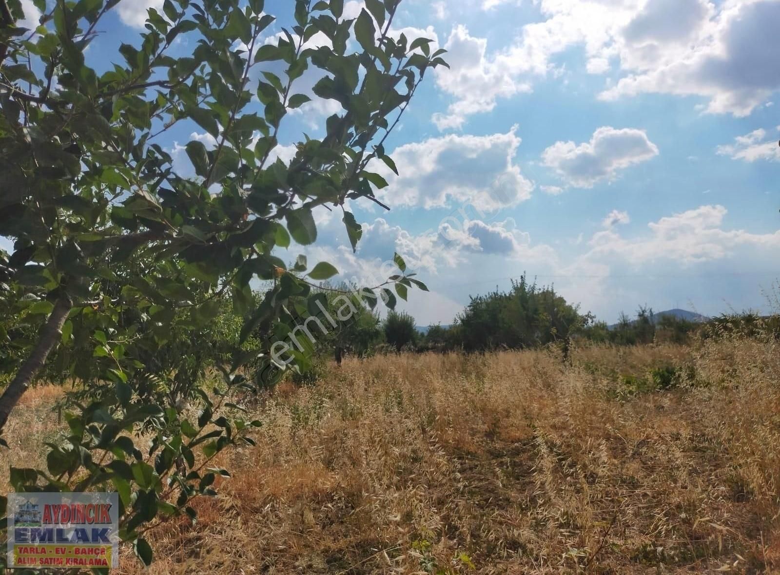 Aydıncık Emlaktan Satılık Tarla 1974m2 - Görsel 6