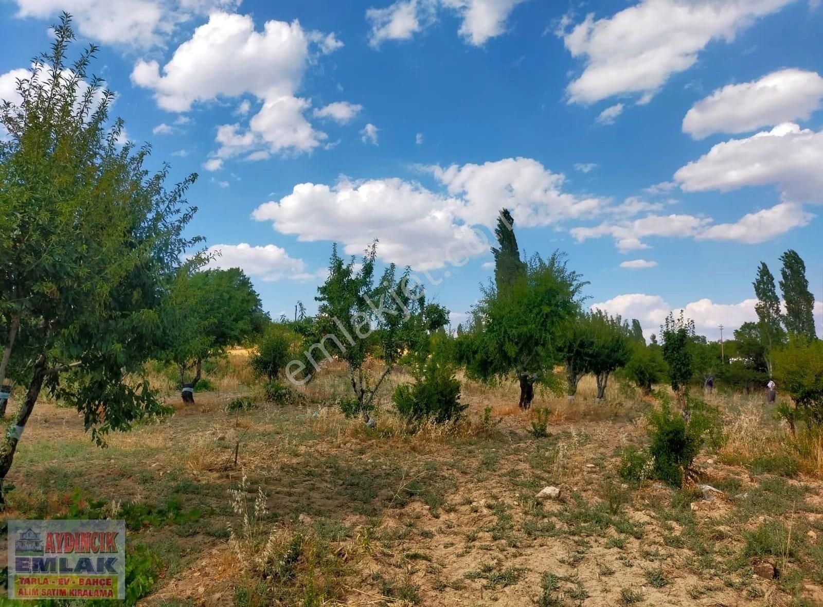 Aydıncık Emlaktan Satılık Tarla 1974m2 - Görsel 3