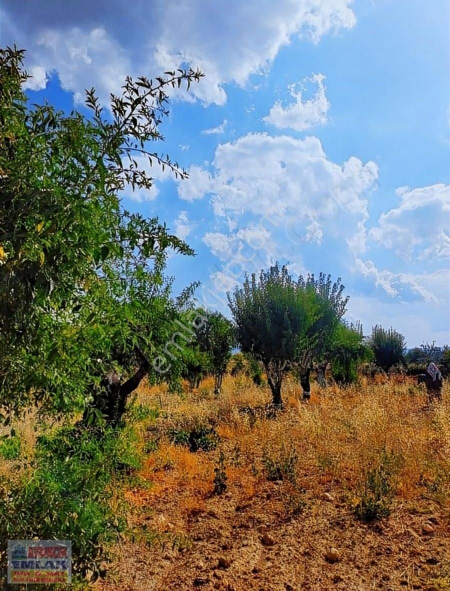Aydıncık Emlaktan Satılık Tarla 1974m2 - Görsel 23