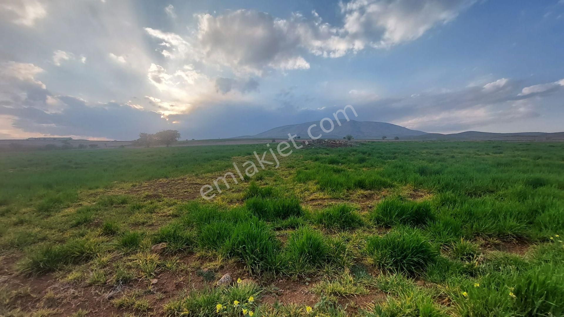 Meram Çayırbağı Satılık Tarla  TALHA TOZDUMAN'DAN ÇAYIRBAĞINDA ANAYOLA YAKIN/MÜSTAKİL 15.320 M2