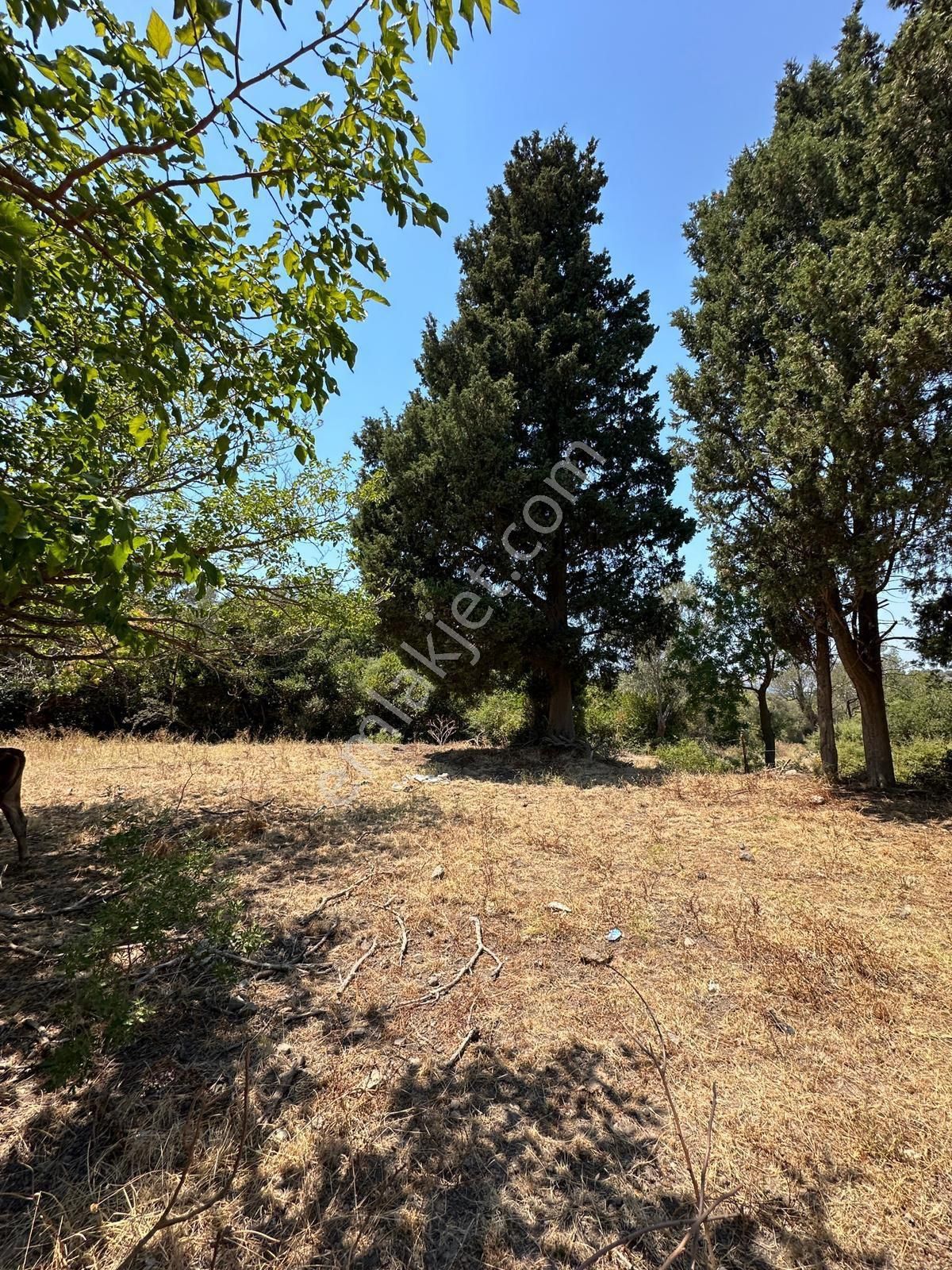 Bodrum Turgutreis De Satılık Yatırımlık Tarla - Görsel 2