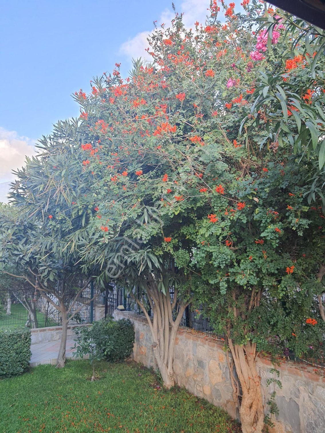 Satılık Eşyalı Villa 4+1 - Görsel 3