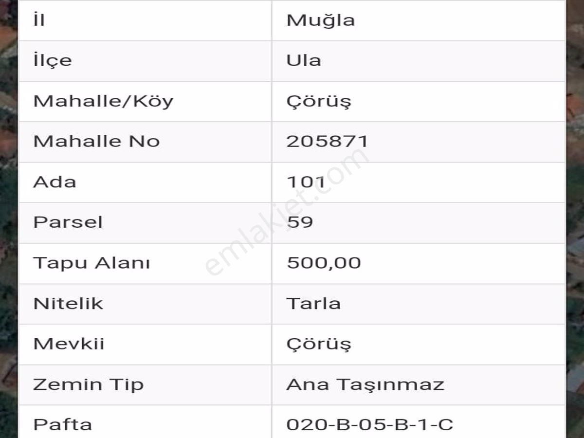 Ula Çörüş Satılık Tarla MUĞLA ULA ÇÖRÜŞTE SATILIK TARLA