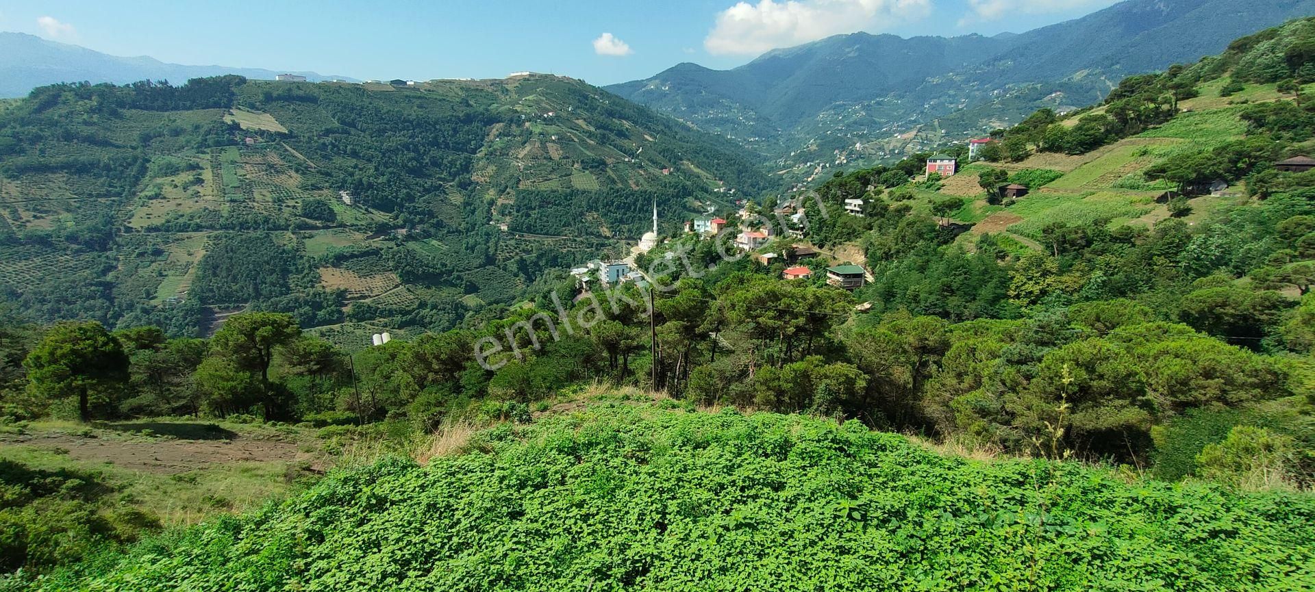 Akçaabat Zaferli Satılık Muhtelif Arsa  AKÇAABAT ZAFERLİ MAHALLESİNDE SATILIK YOL KENARI ARAZİ