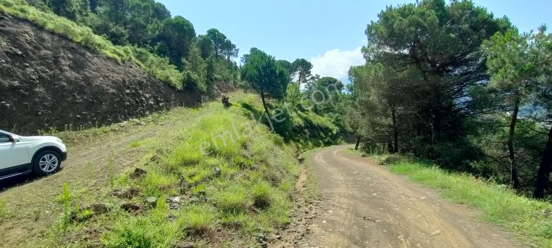 Akçaabat Zaferli Satılık Muhtelif Arsa Akçaabat Zaferli Mahallesinde Satılık Turizm Planlaması Yapılmış Arazi