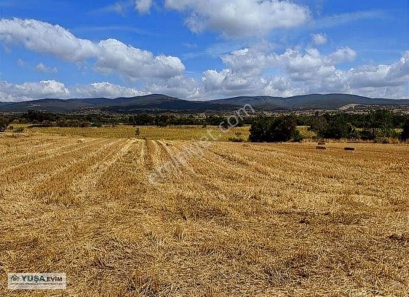 Pınarhisar Yenice Köyü (Cumhuriyet) Satılık Tarla 'YUŞA EVİM'den MAHYA DAĞI ETEKLERİNDE TEK TAPU SATILIK ARAZİ