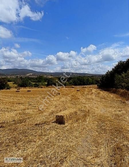 Pınarhisar Yenice Köyü (Cumhuriyet) Satılık Tarla 'YUŞA EVİM'den MAHYA DAĞI ETEKLERİNDE TEK TAPU SATILIK ARAZİ