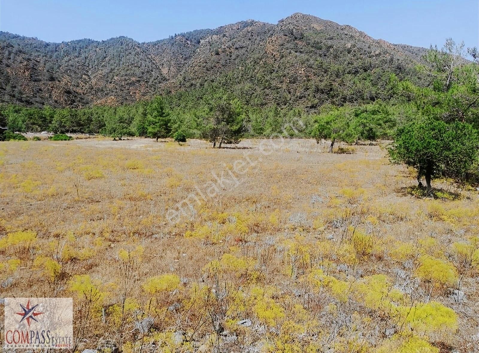 Marmaris Hisarönü Satılık Denize Yakın, 5.700 M2 Harika Tarla - Görsel 12