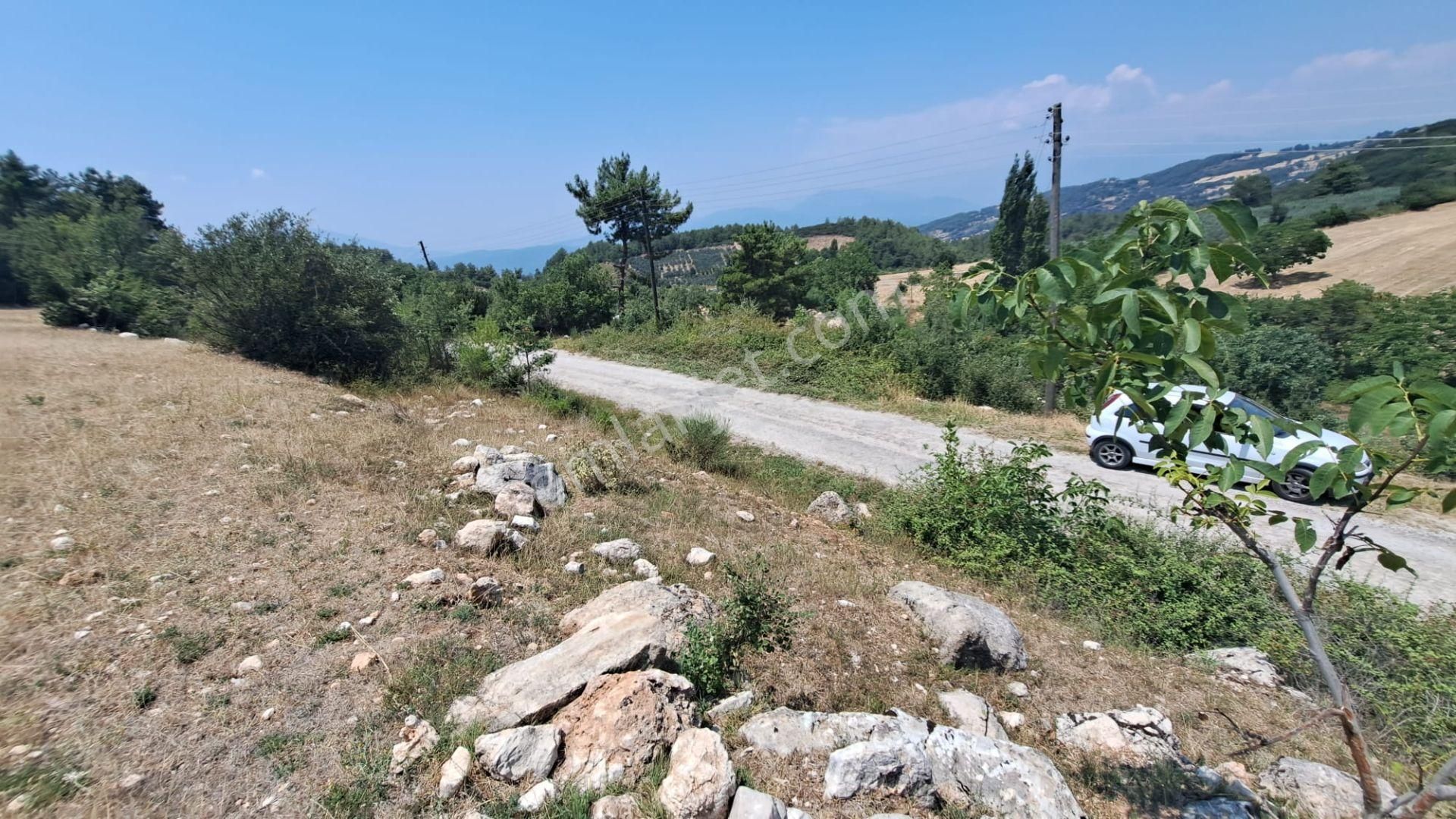 Seydikemer Yakaköy Satılık Tarla Stoptan Acil Satılık Seydikemer Yaka *yola Cephe* Tarla