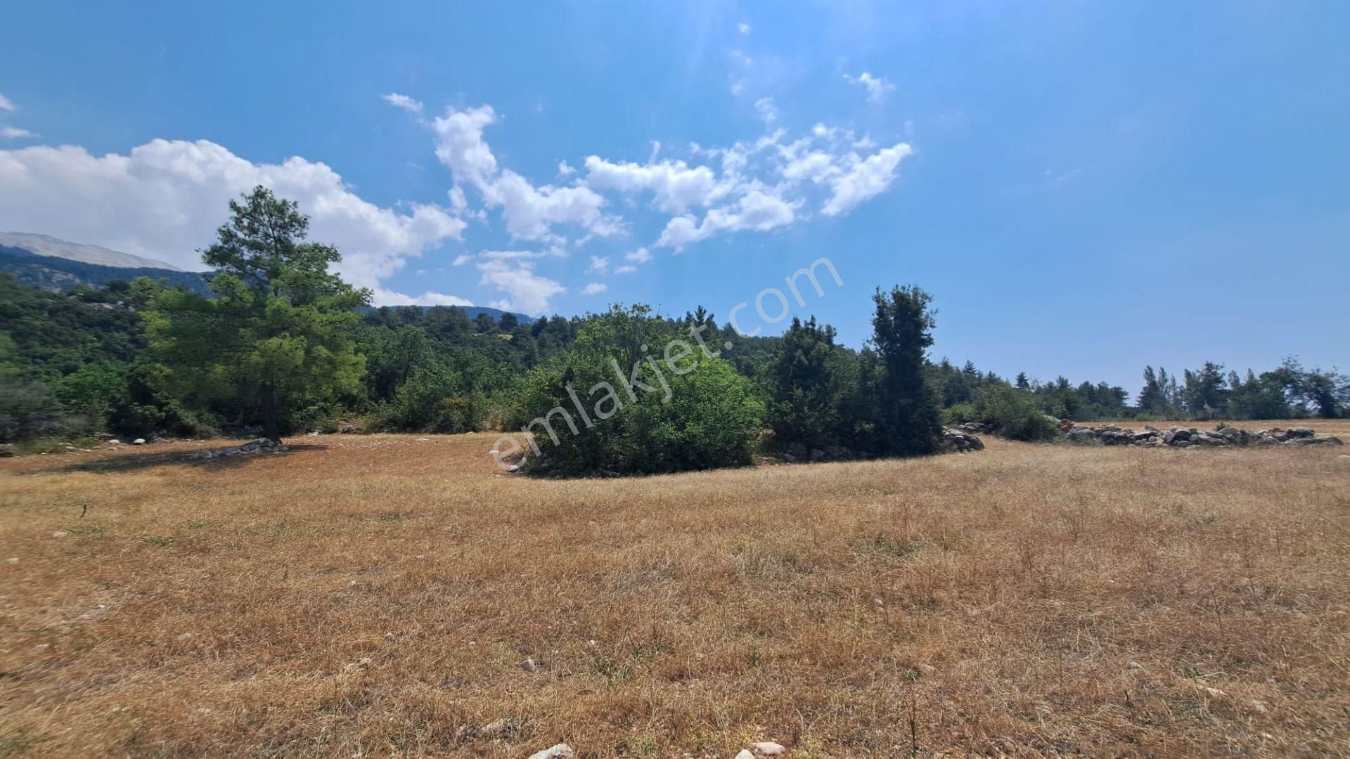 Seydikemer Yakaköy Satılık Tarla  Stop’tan Seydikemer Yakaköy’de Satılık *Yola Cephe* Tarla