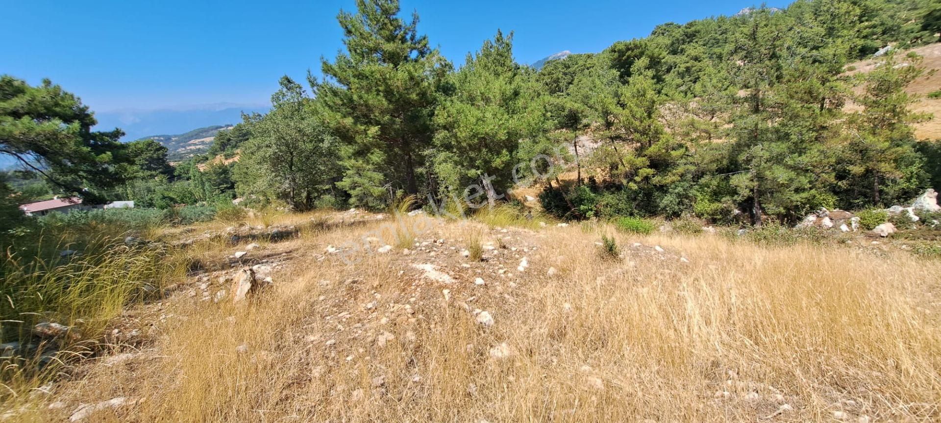 Seydikemer Yakaköy Satılık Tarla  Stop’tan Seydikemer’ de Satılık *Yola Cephe* Arsa