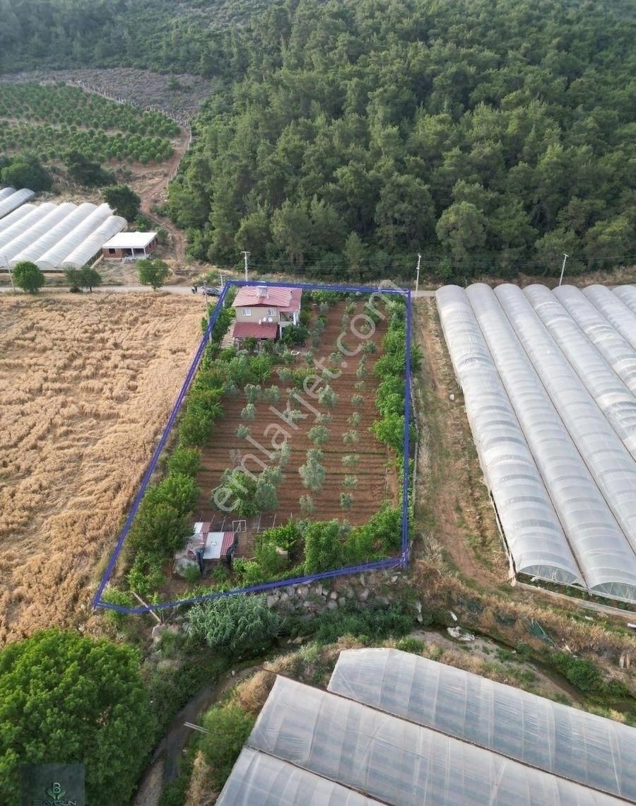 Menderes Çamönü Satılık Tarla İzmir Menderes Çamönü Satılık Tek Tapulu Müstakil Bahçe