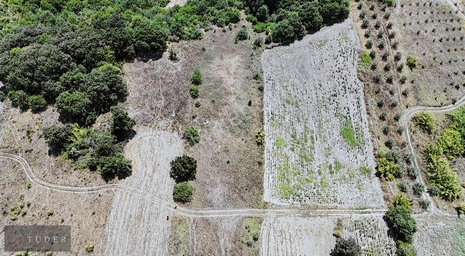 Mudanya Çayönü Satılık Tarla Çayönü Konut Projesi Alanında Yatırım Fırsatı 2417 M2 Tarla