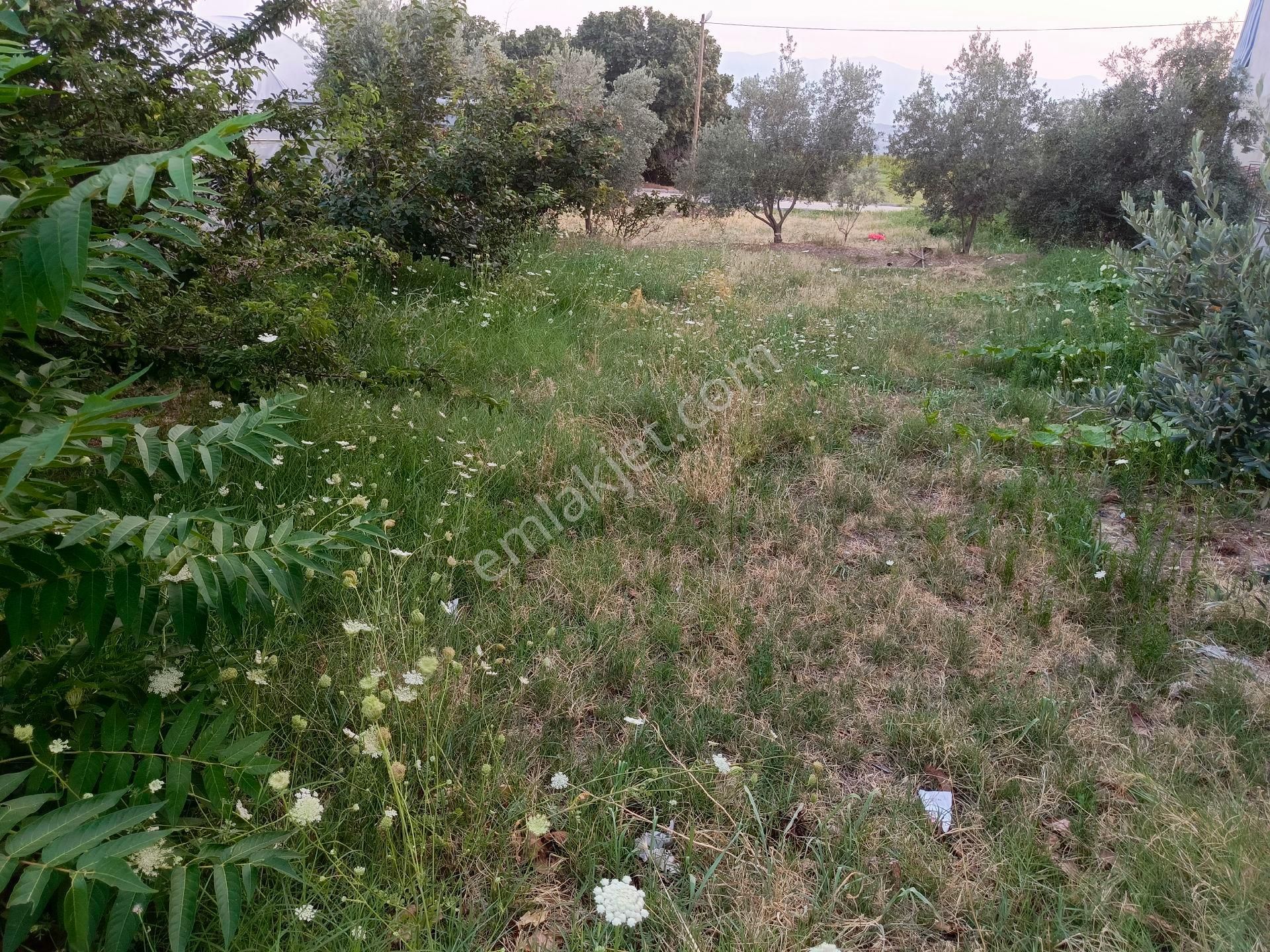 Pamukkale Kocadere Satılık Konut İmarlı KOCADERE/KÜME EVLERİNDE KONUT İMARLI ÇİFT CEPHE YOL VE GİRİŞLİ 520 M2 ARSA SATILIKTIR