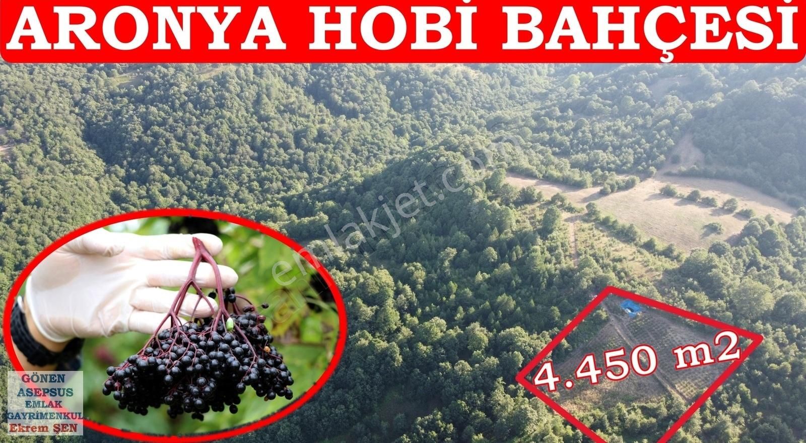 Gönen Fındıklı Satılık Tarla 4.450 m2 Aronya Hobi Bağ-Bahçesi Havuz Var. Orman Cepheli