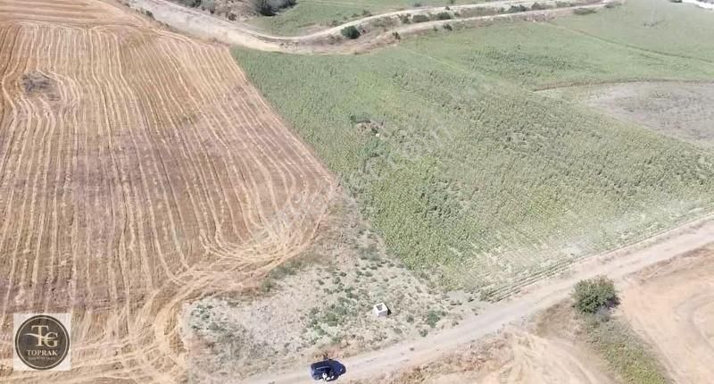 Uzunköprü Çakmak Köyü Satılık Tarla Edirne Uzunköprü Çakmak'da 1.600 M2 Köye Çok Yakın Satılık Arazi