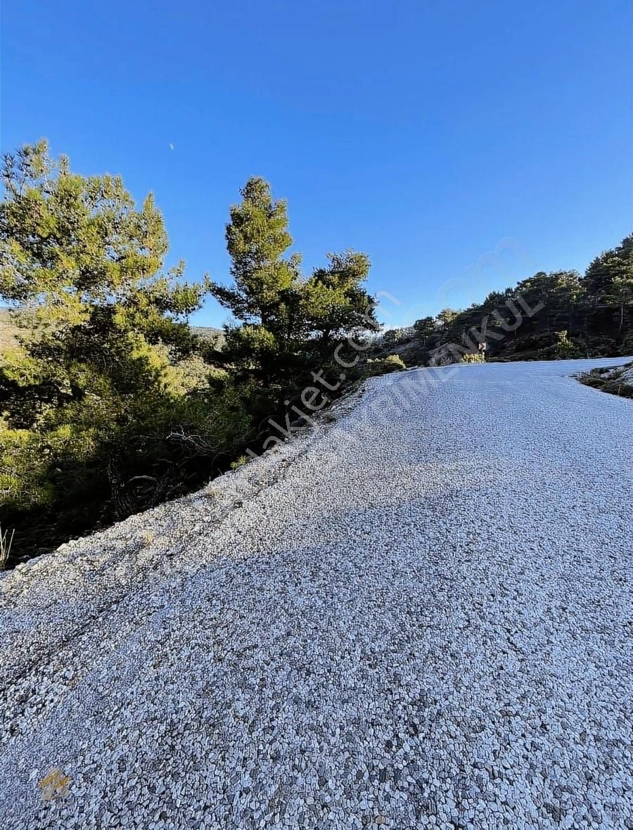 Seydikemer Arsaköy Satılık Tarla Akdamar Gayrimenkul'den Arsa Köyde Satılık 2B Tarla