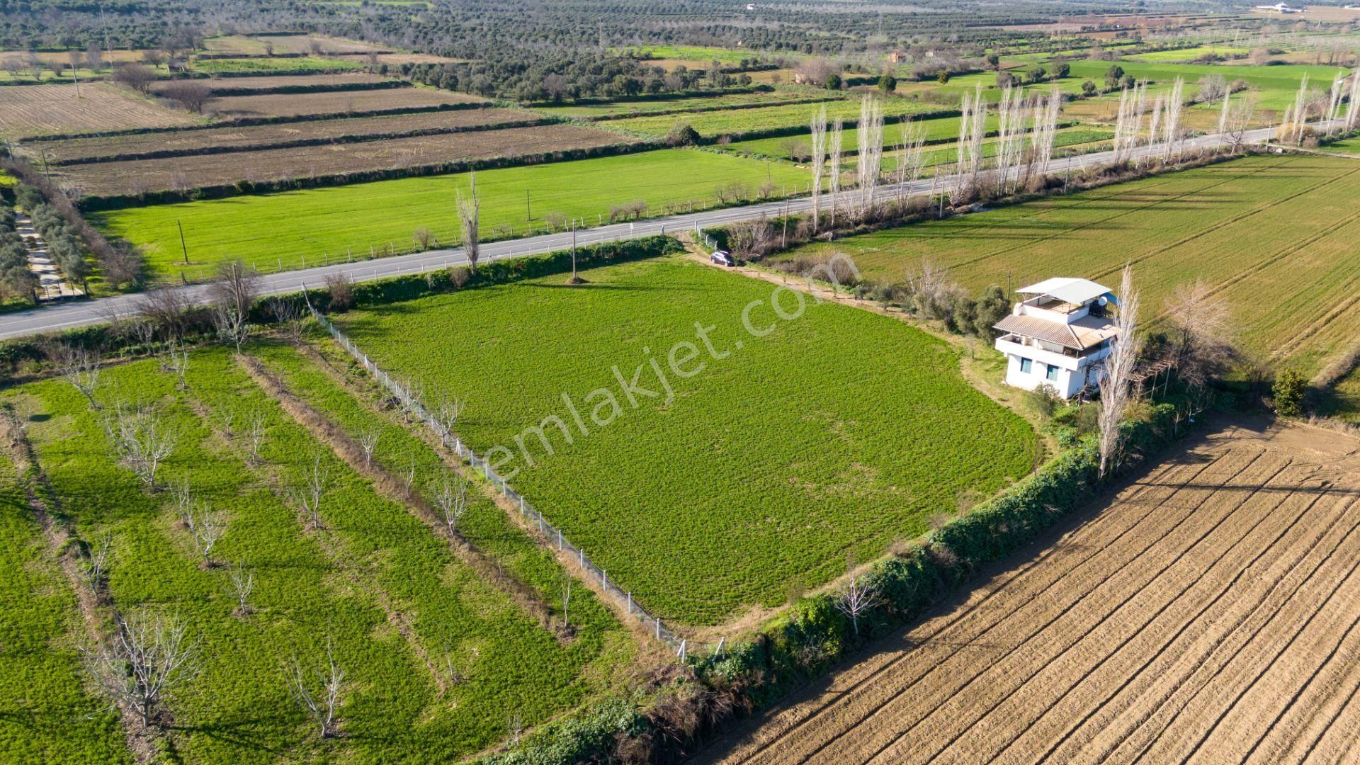 679 Bozdoğan Kavaklı Mah De Satılık Ana Yola Cepheli Tarla - Görsel 11