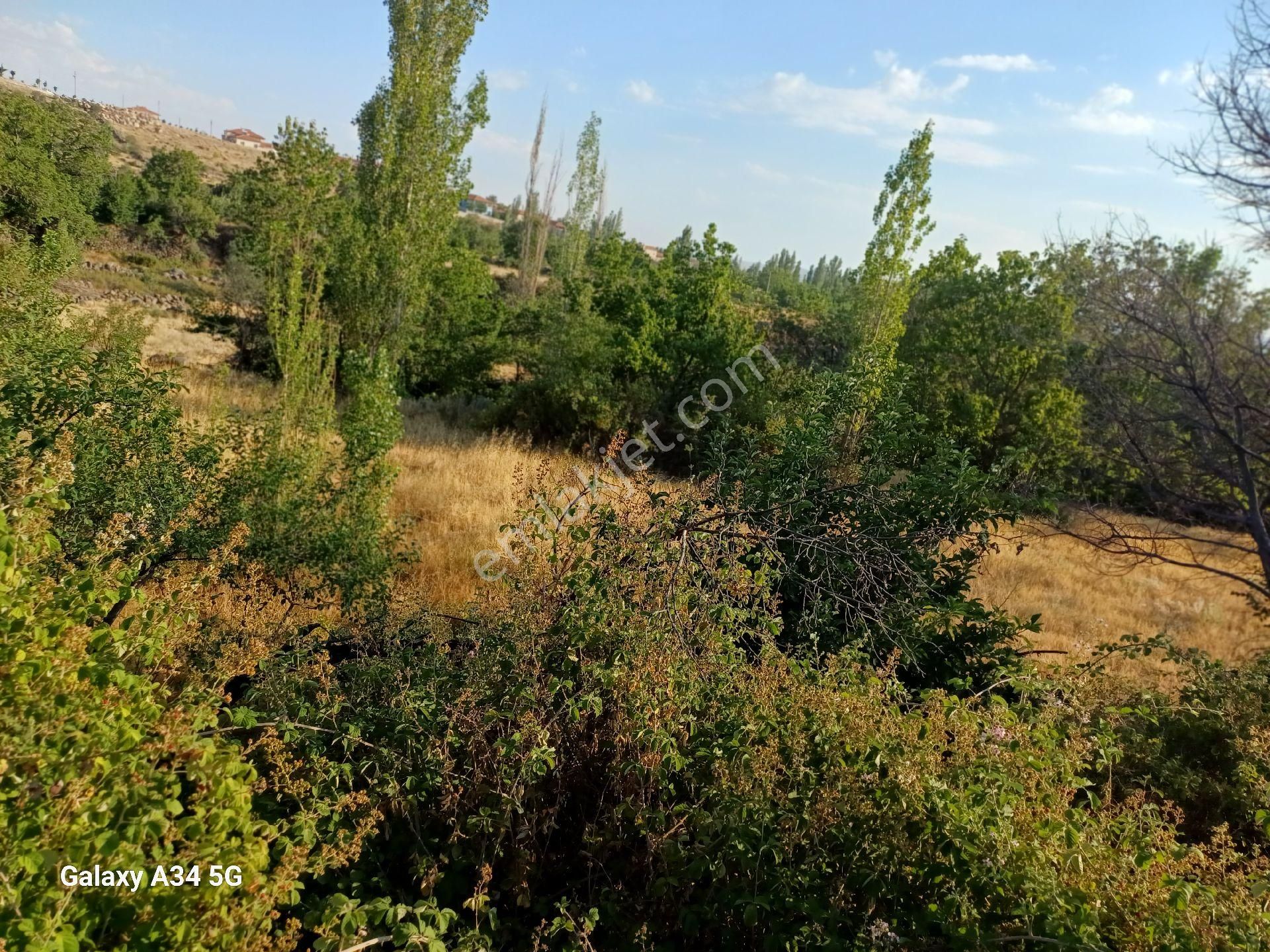 Niğde Altunhisar Da Satılık Bahçe - Görsel 11